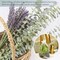 68 PCS Dried Eucalyptus Stems & Lavender Flowers Bundle for Shower,17'' Natural Real Live Eucalyptus Leaves & Aromatic Lavender Shower Plant, Mother's Day, Home Decoration,Fragrance